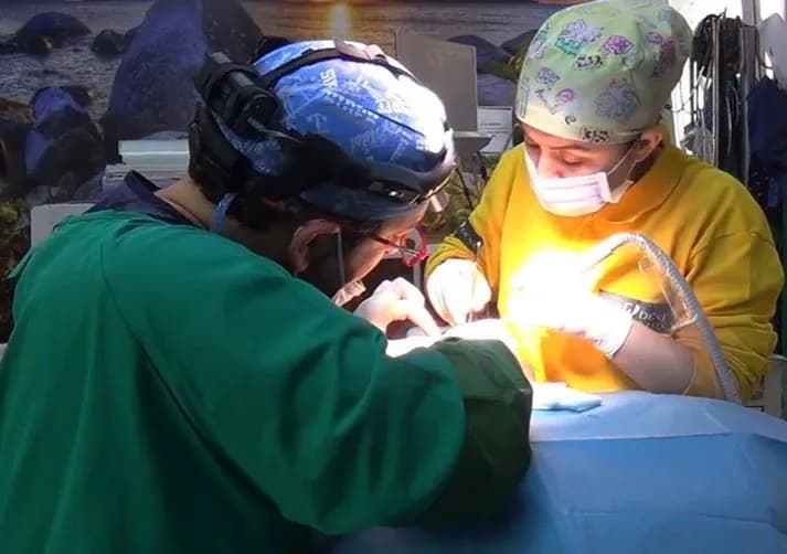 Emident Diş Kliniği