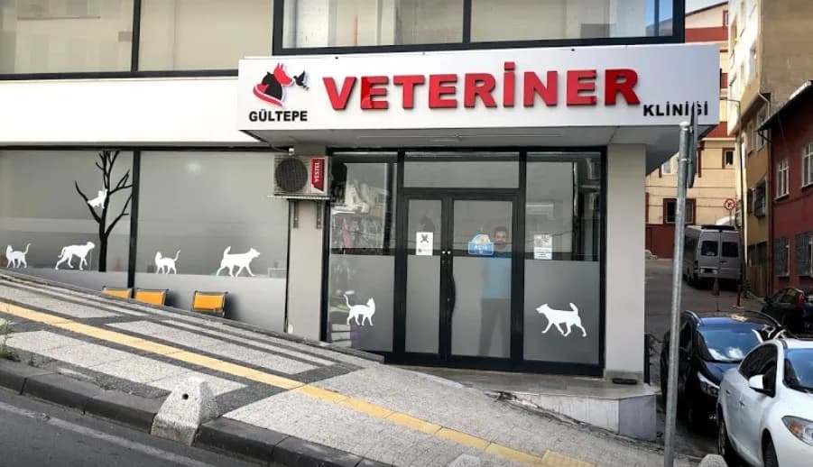 Gültepe Veteriner Kliniği