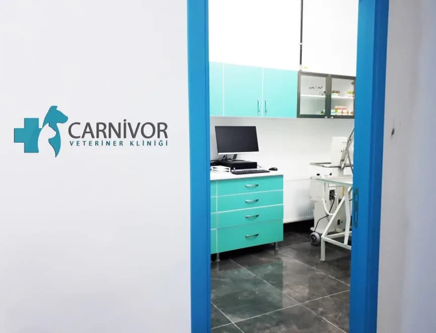 Carnivor Veteriner Kliniği