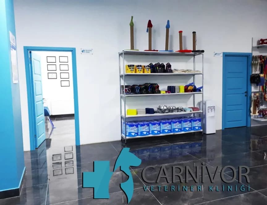 Carnivor Veteriner Kliniği
