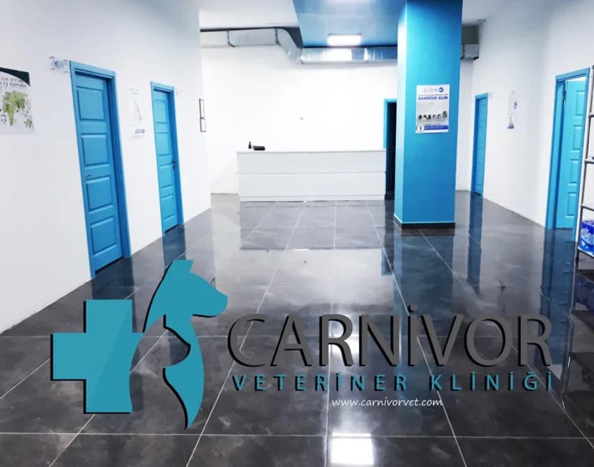 Carnivor Veteriner Kliniği