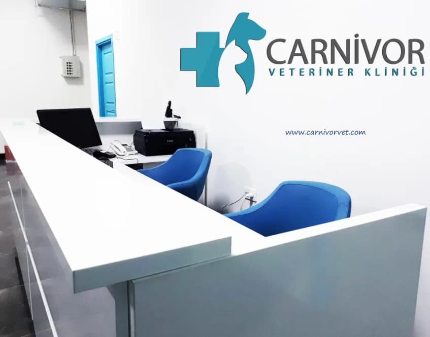 Carnivor Veteriner Kliniği