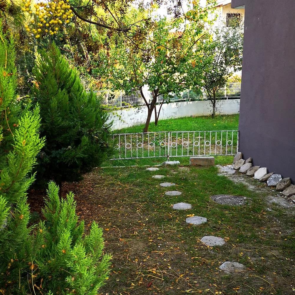 VetEva Veteriner Kliniği
