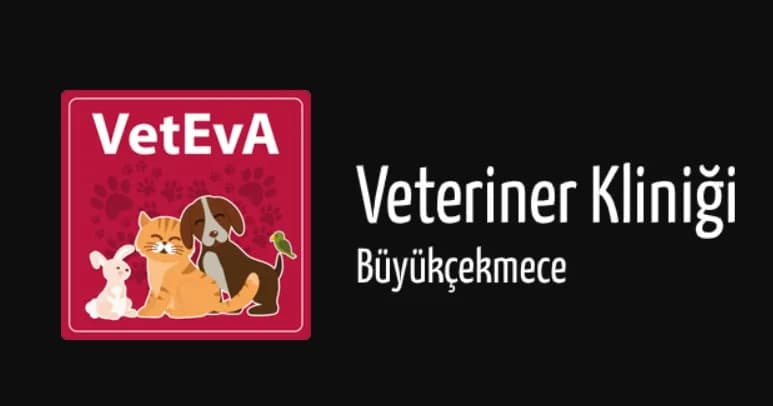 VetEva Veteriner Kliniği