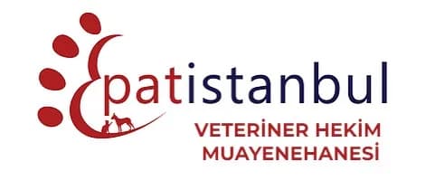 Patistanbul Veteriner Kliniği