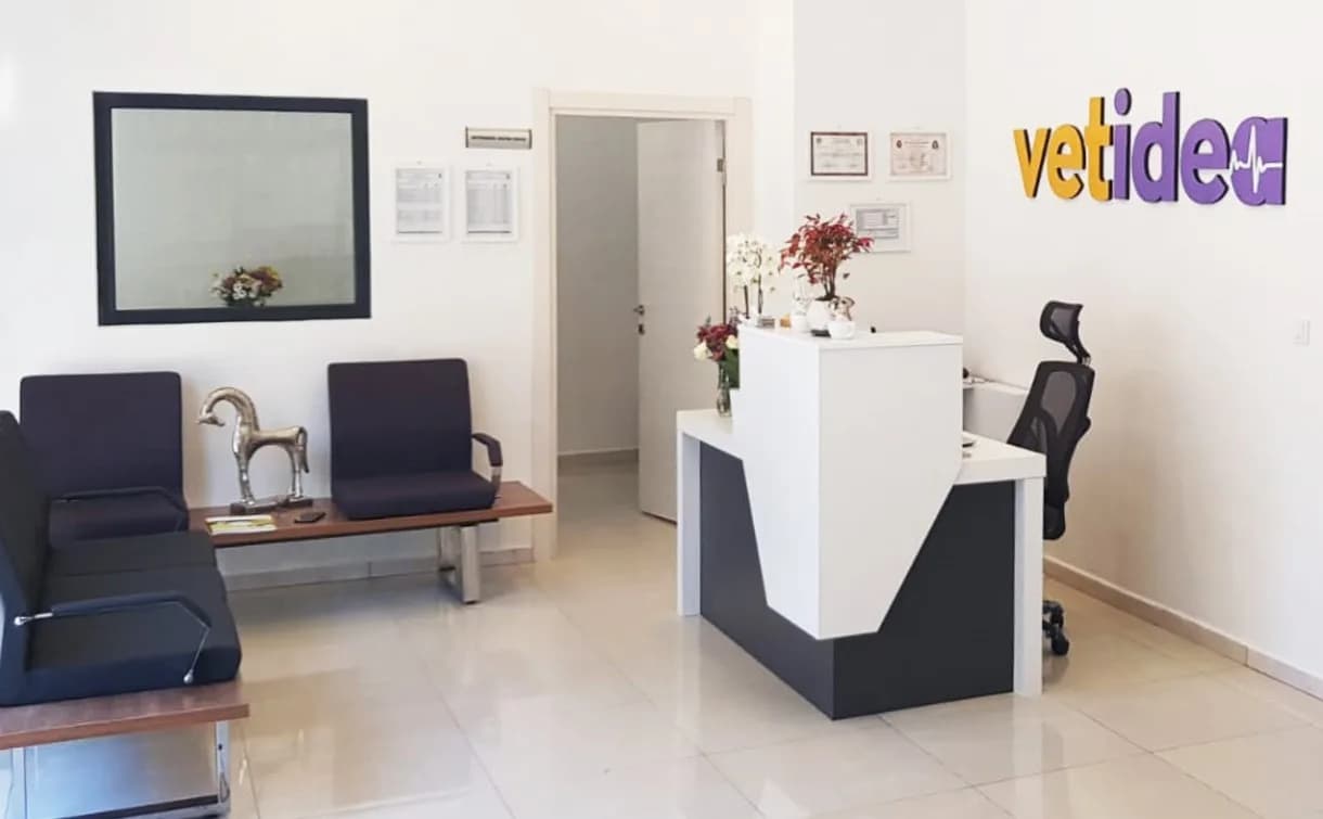 Vetidea Veteriner Kliniği