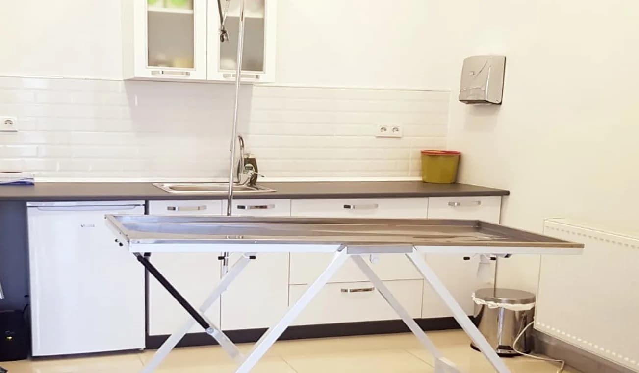 Vetidea Veteriner Kliniği