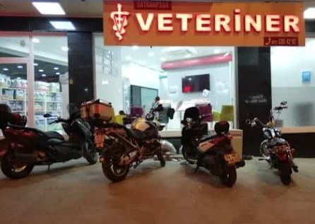 Bayrampaşa Veteriner Kliniği