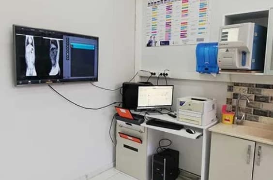 Bayrampaşa Veteriner Kliniği