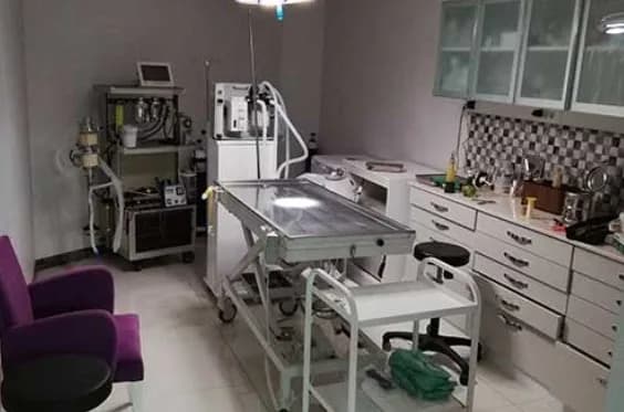 Bayrampaşa Veteriner Kliniği