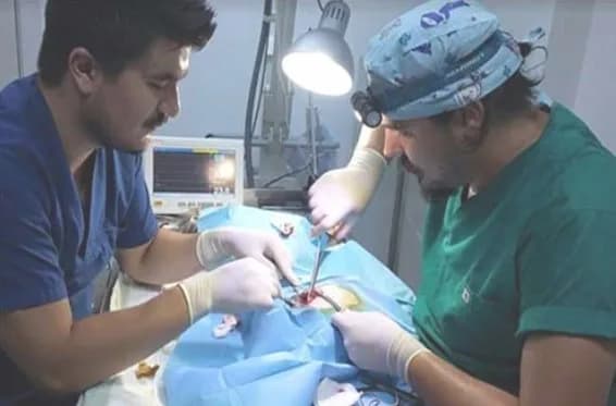 Bayrampaşa Veteriner Kliniği