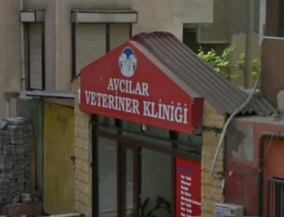 Avcılar Veteriner Kliniği