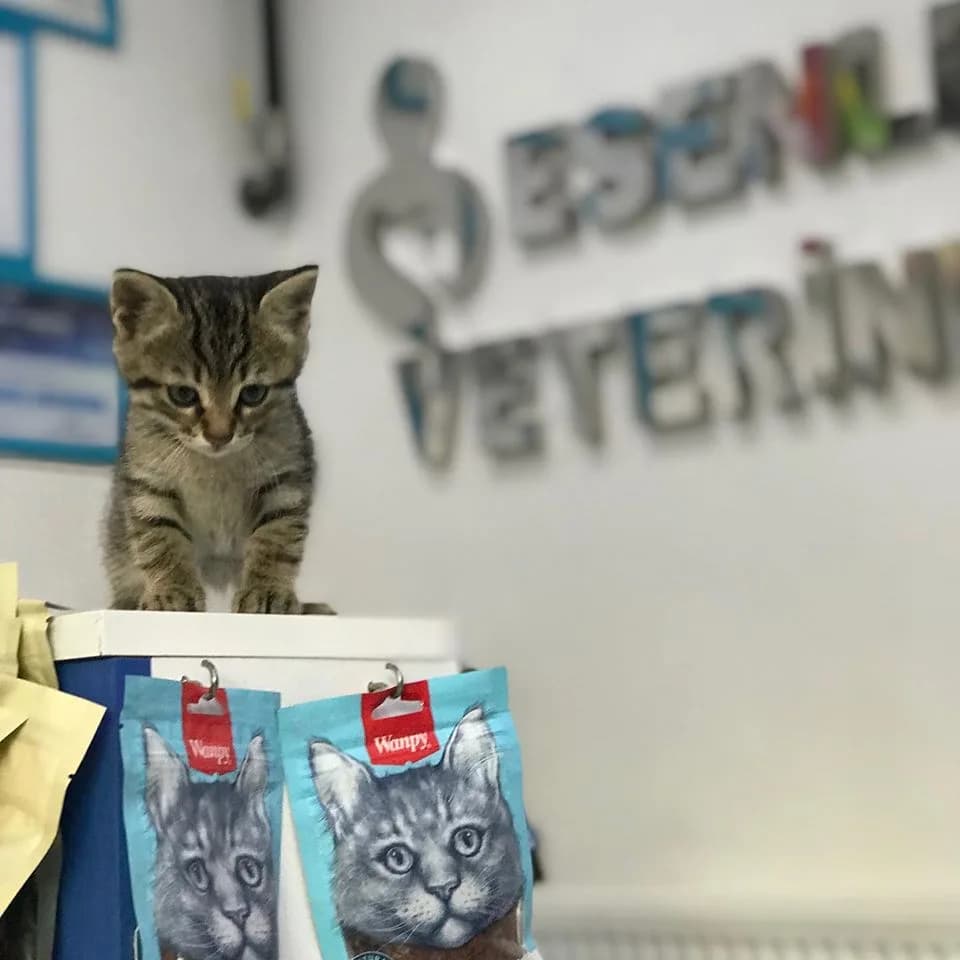 Esenler Veteriner Kliniği (1)