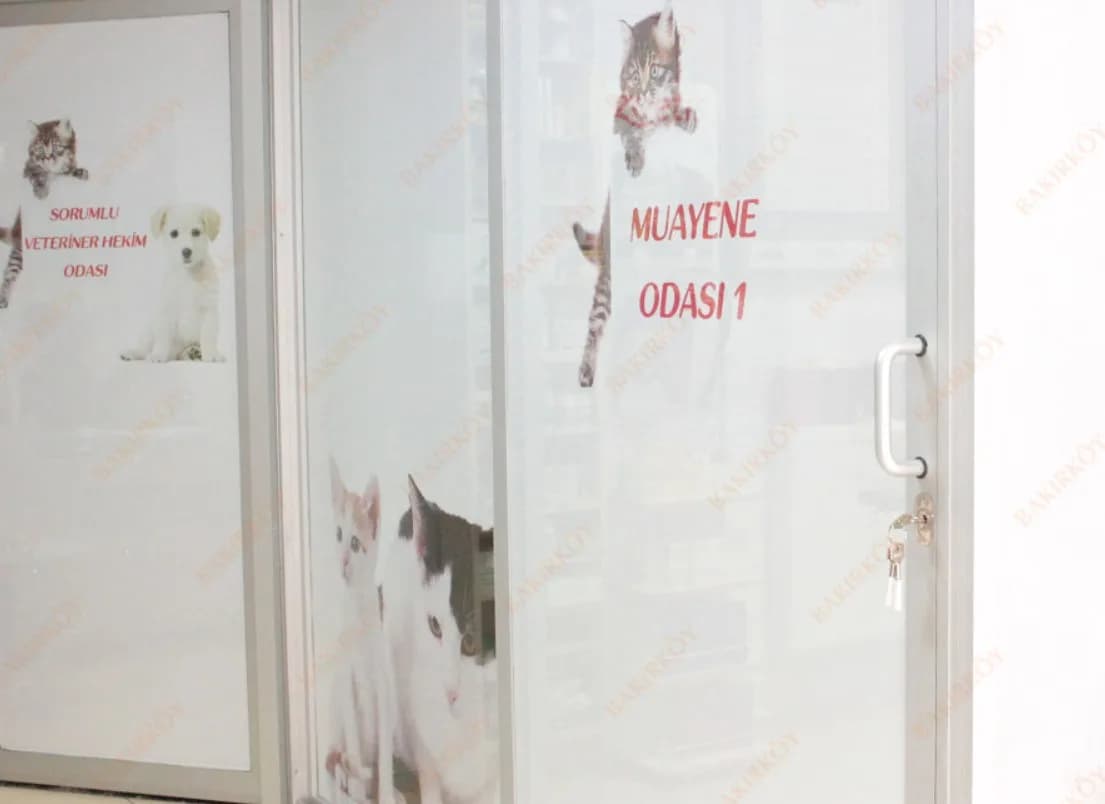 Bakırköy Veteriner Kliniği