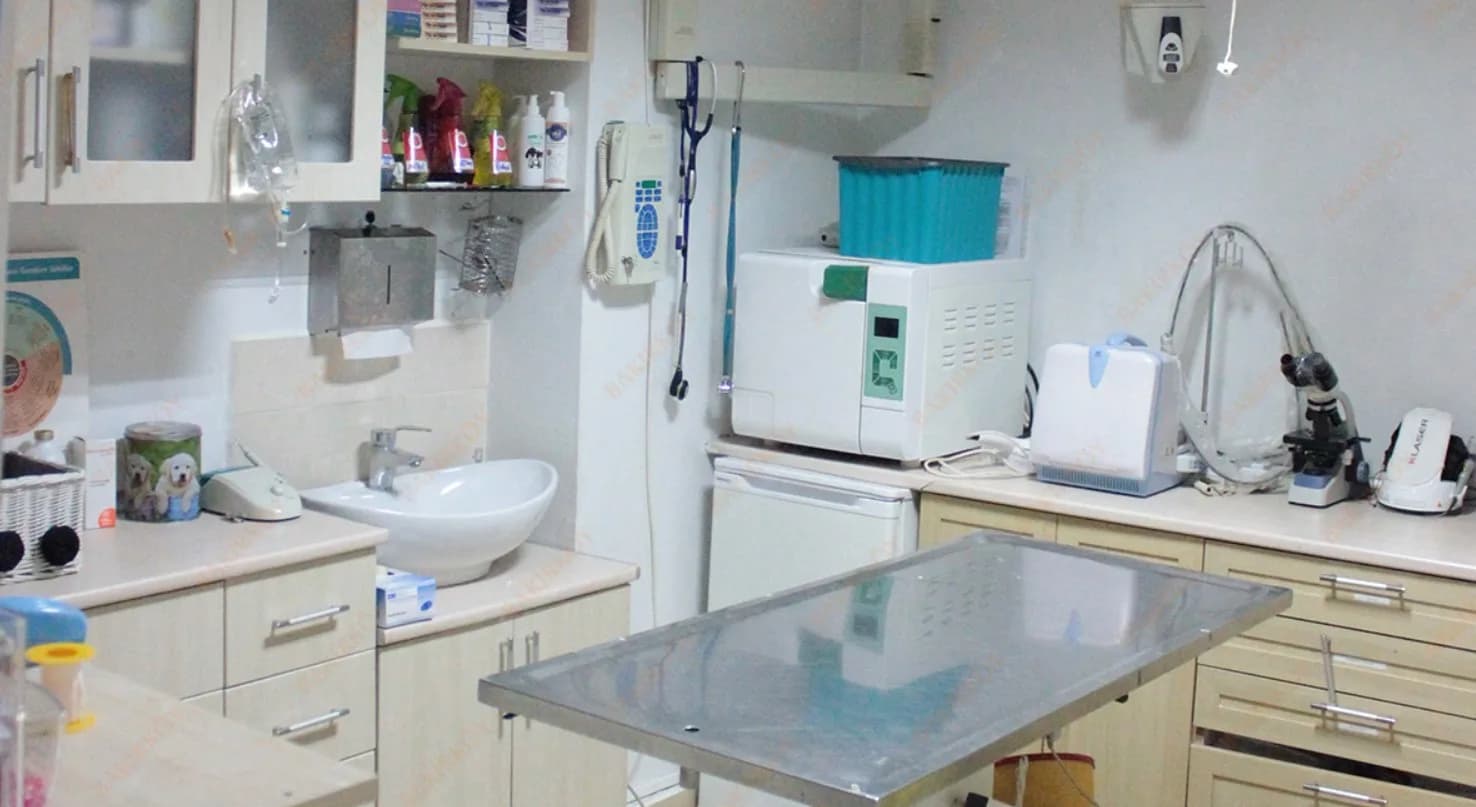 Bakırköy Veteriner Kliniği