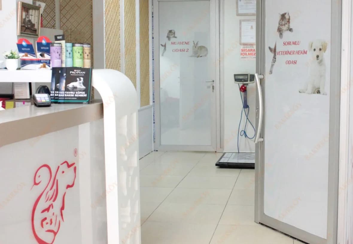 Bakırköy Veteriner Kliniği