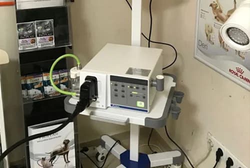 Petvet Veteriner Tıp Merkezi