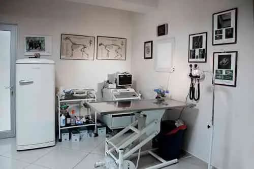 Petvet Veteriner Tıp Merkezi