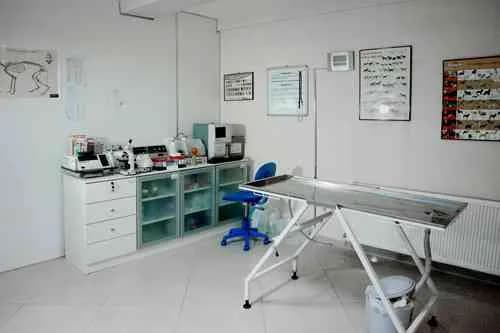 Petvet Veteriner Tıp Merkezi