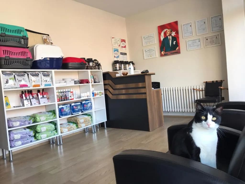 Fabella Veteriner Kliniği