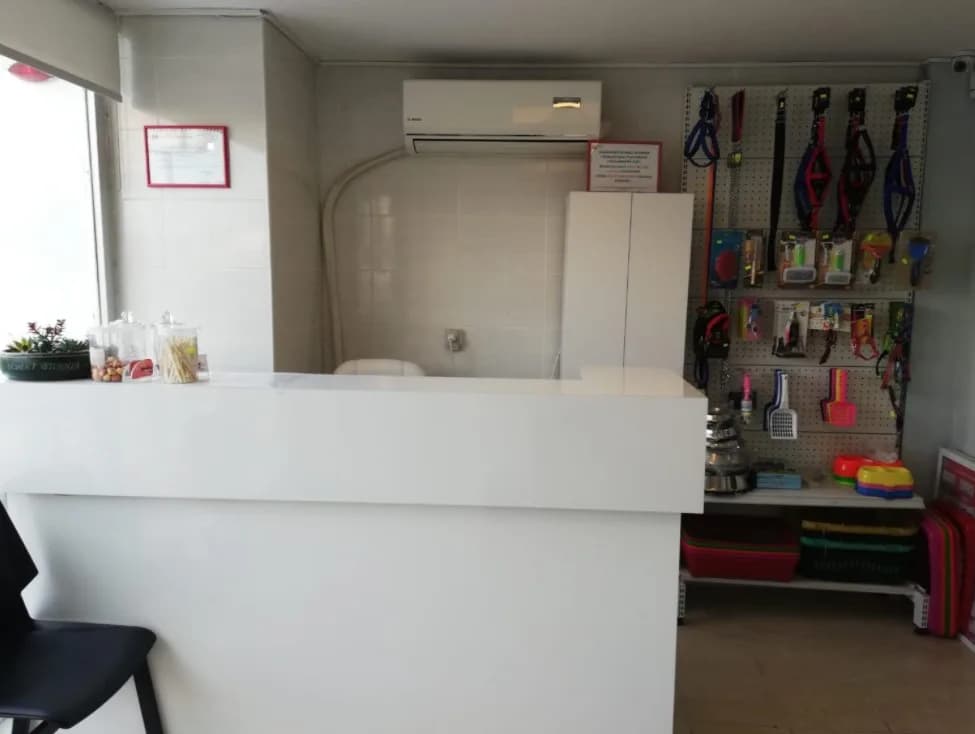 Beykent Veteriner Kliniği