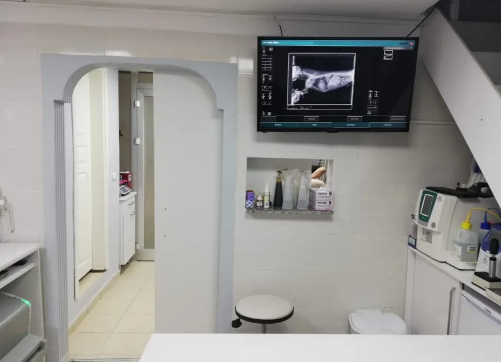 Beykent Veteriner Kliniği