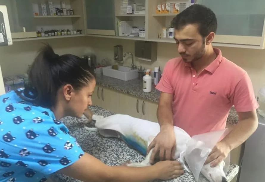 Ak-vet Akademi Veteriner Kliniği