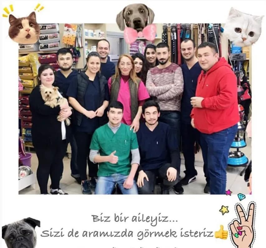 Ak-vet Akademi Veteriner Kliniği