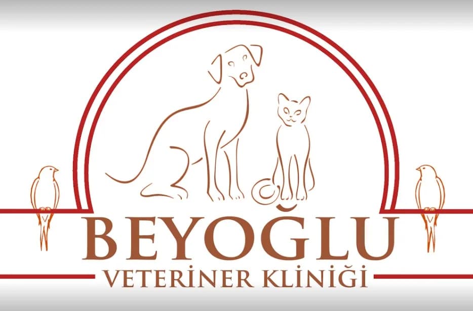 Beyoğlu Veteriner Kliniği