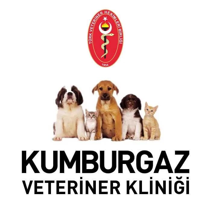 Kumburgaz Veteriner Kliniği