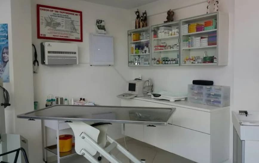MedMedivet Veteriner Kliniği