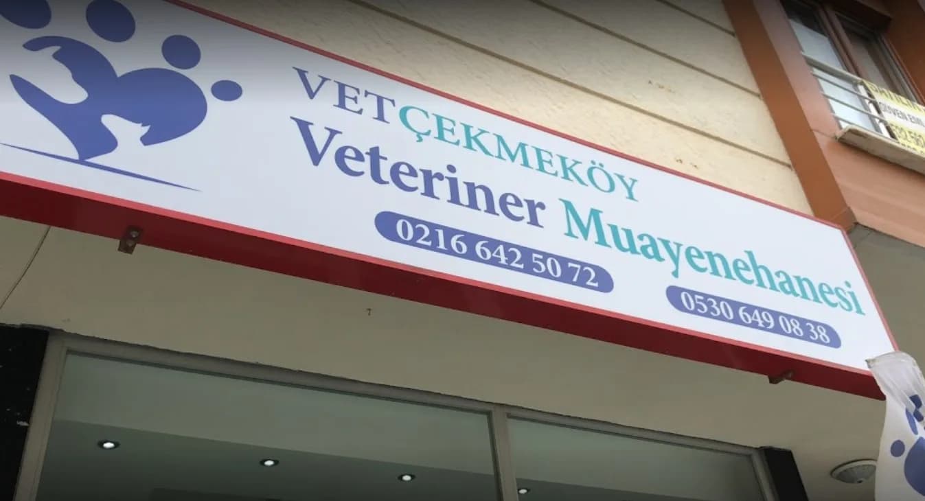 Vetçekmeköy Veteriner Kliniği