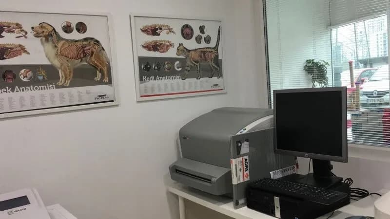 Patiler Veteriner Kliniği