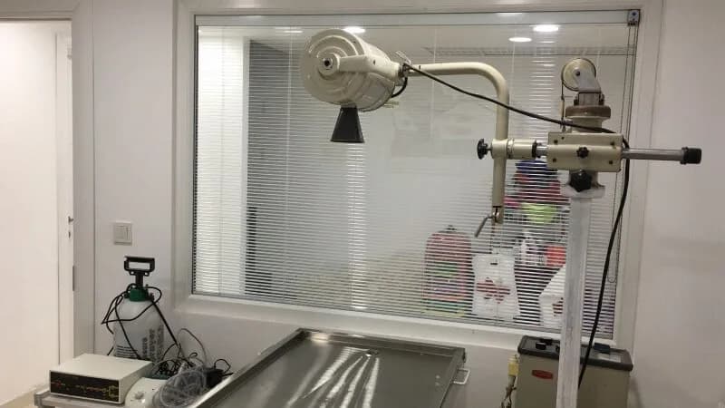 Patiler Veteriner Kliniği