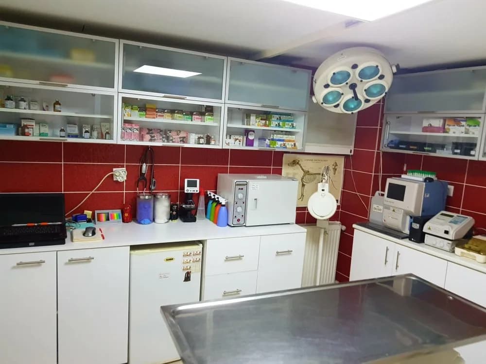 Haliç Veteriner Kliniği