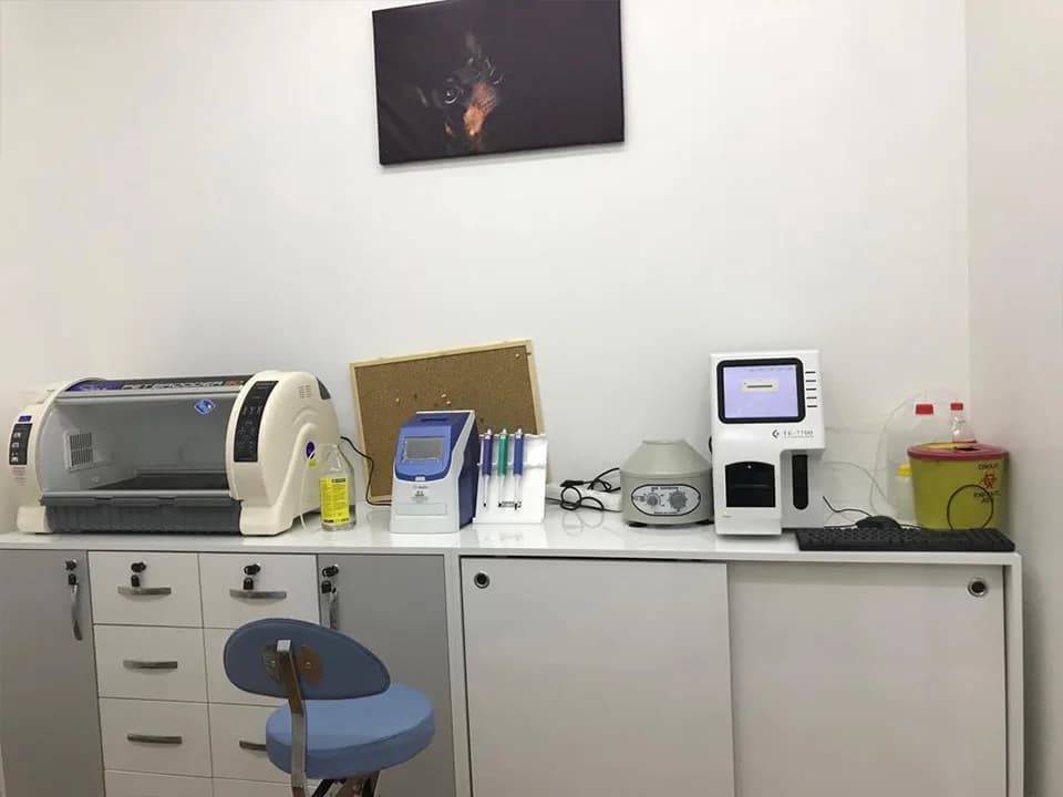 Soy-Vet Veteriner Kliniği