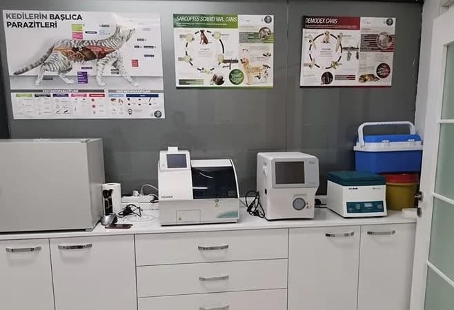CosmoVet Veteriner Kliniği