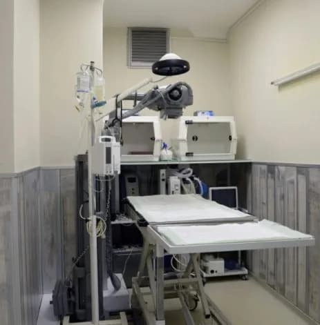 Pet Address Veteriner Kliniği