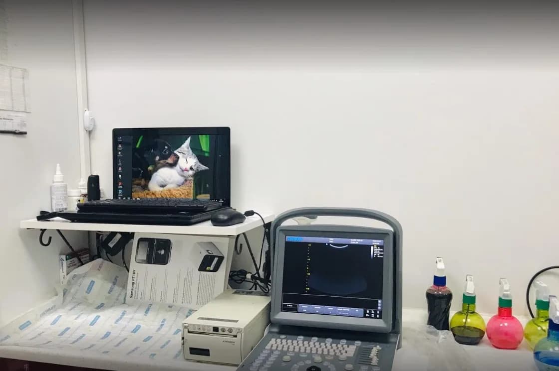 Kronik Veteriner Kliniği