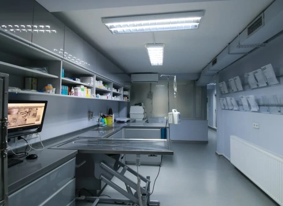 VetKadıköy Veteriner Kliniği