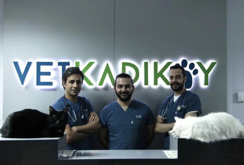 VetKadıköy Veteriner Kliniği