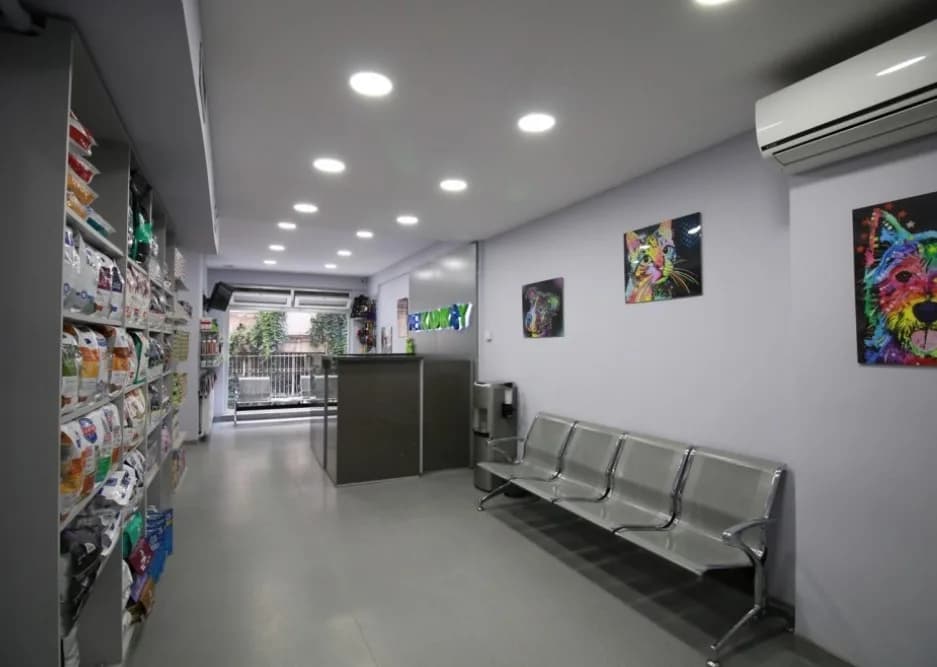 VetKadıköy Veteriner Kliniği