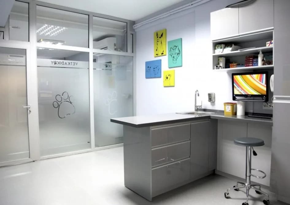 VetKadıköy Veteriner Kliniği