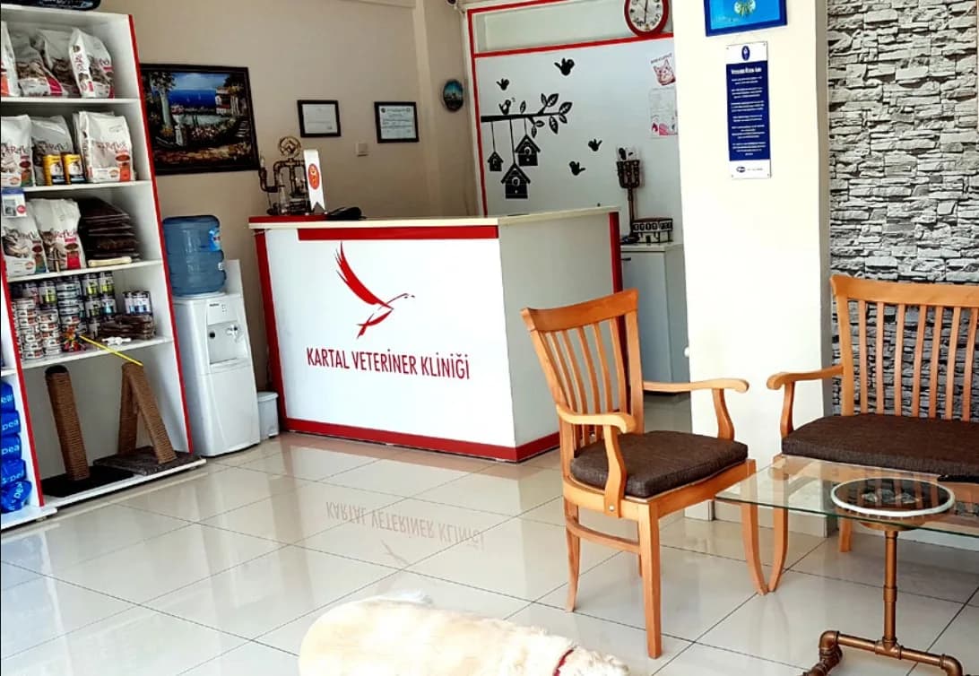 Kartal Veteriner Kliniği