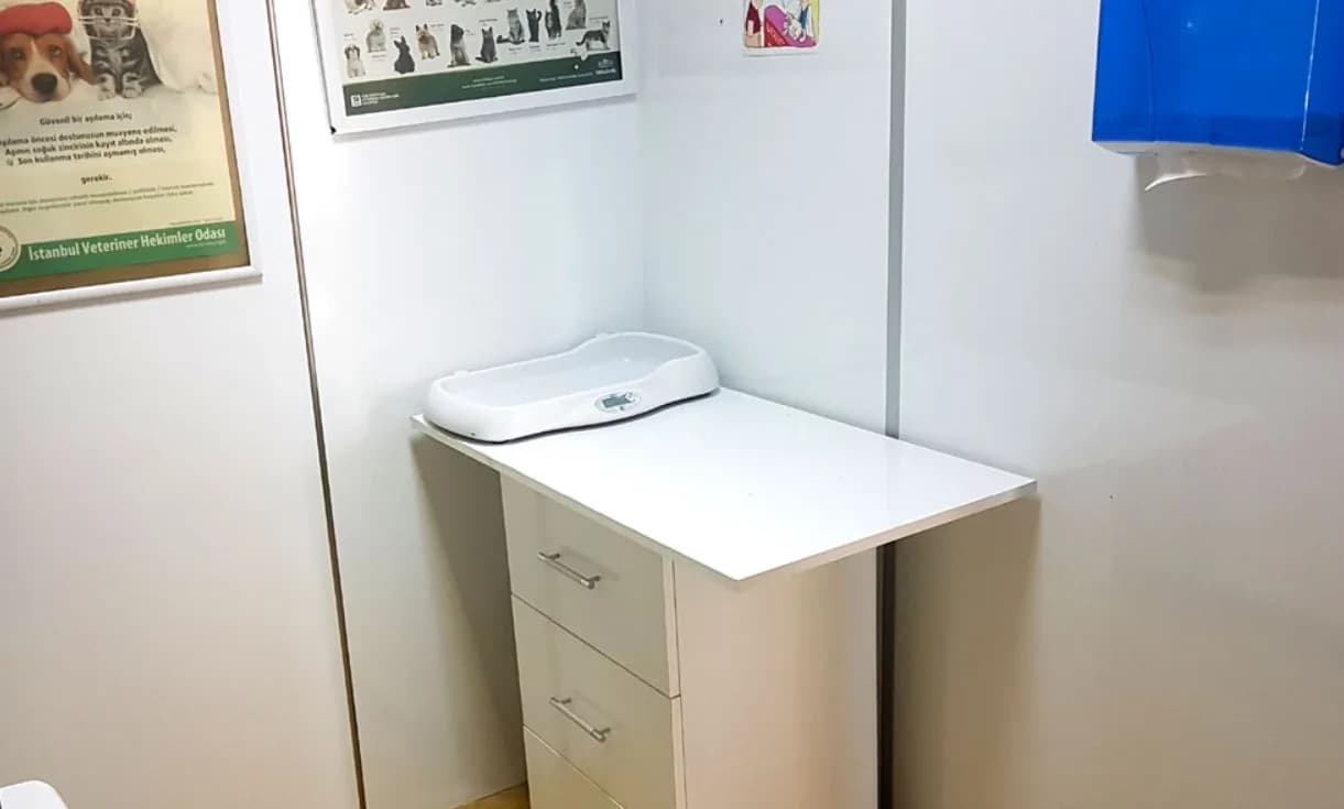 Kartal Veteriner Kliniği