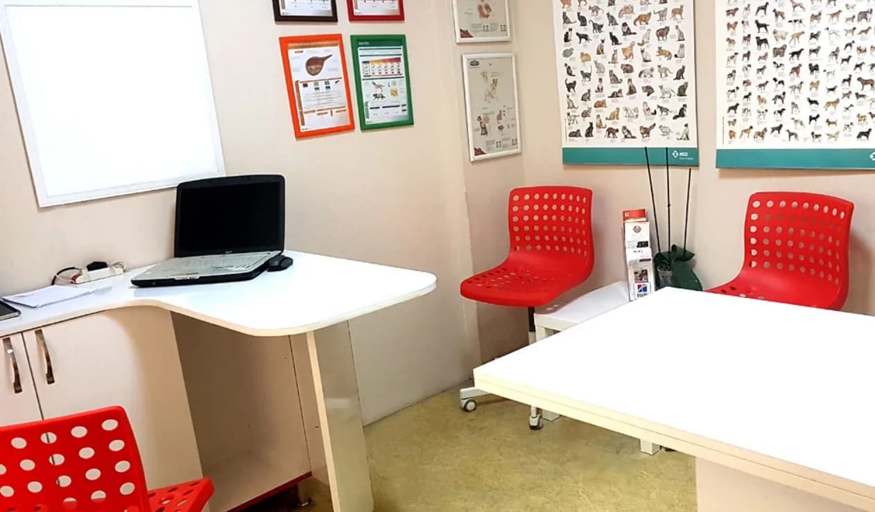 Kartal Veteriner Kliniği