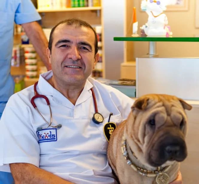 Friends Veteriner Kliniği