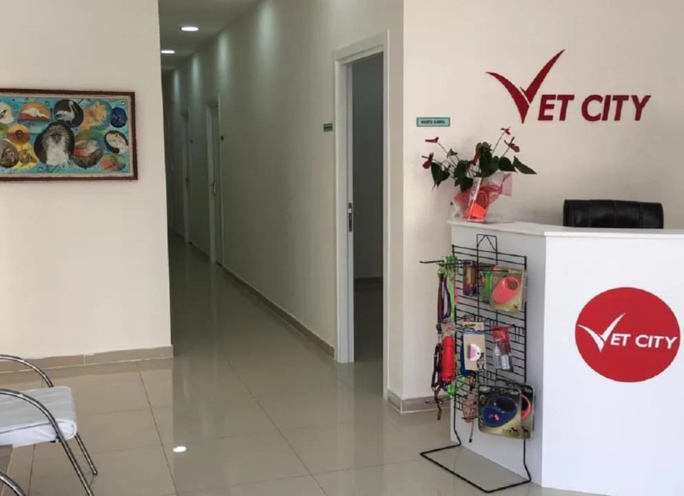 Vetcity Veteriner Kliniği