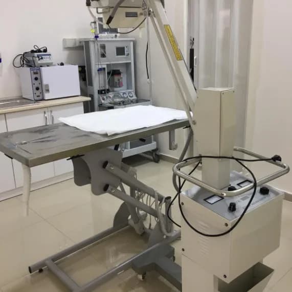 Vetcity Veteriner Kliniği