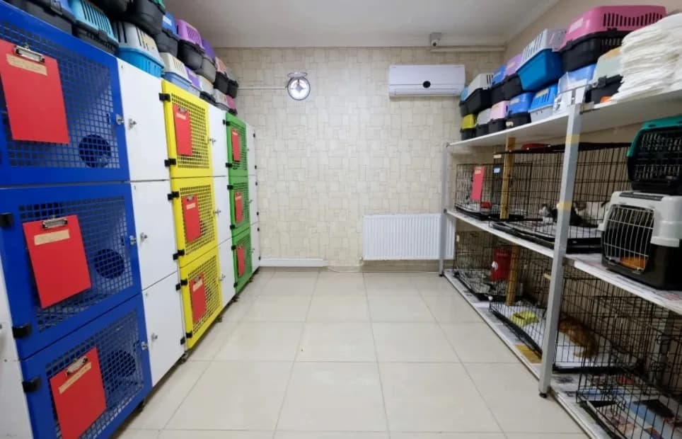 Arlen Veteriner Kliniği
